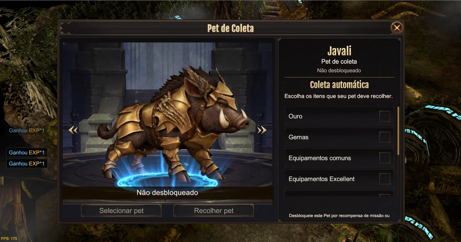 Gathering Pet: Boar